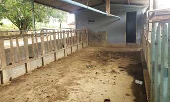 Imagem 7: Sítio de 10 Alqueires Sul de Minas Gerais