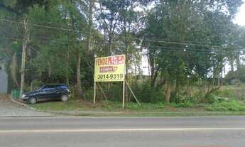 Imagem 2: Terreno Santa Candida