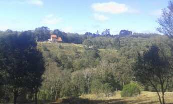 Imagem 6: CHÁCARA com 3 dormitórios à venda com 24204m² por R$ 700.000,00 no bairro Roseira - COLOMB