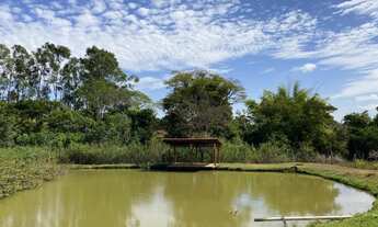 Imagem 6: Chácara 2 Alqueires