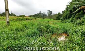Imagem 5: Área na Marginal Sul em Barra Velha