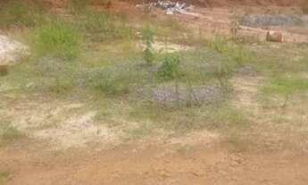 Imagem 2: Lote em manhumirim mg