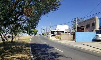 Imagem 3: Barracão - Vila Campos Sales - Campinas