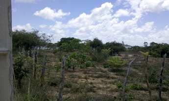 Imagem 3: Vendo Lotes em Pium RN