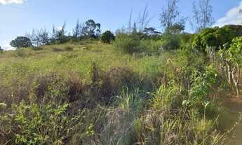 Imagem 4: Sitio macaruja pombos