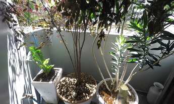 Imagem 6: Apartamento para venda tem 240 metros quadrados com 4 quartos em Higienópol