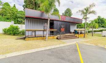 Imagem 7: Alugo Apartamento Pinheirinho