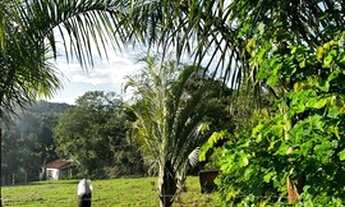 Imagem 7: Granja Goianá Chácara com venda por R$129.000