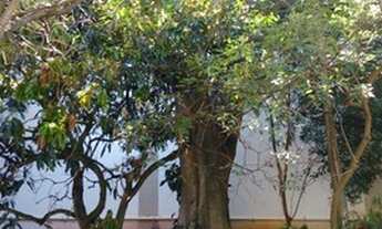 Imagem 4: Apartamento para venda com 131 metros quadrados com 3 quartos em Pirituba - São Paulo - SP