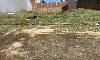 Imagem 5: Terreno 11 por 35 Bairro universitário