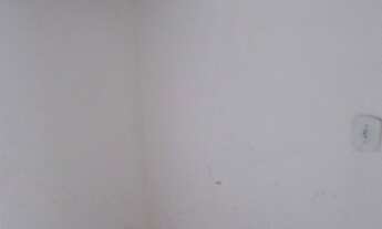 Imagem 6: SÃO JOSÉ DO RIO PRETO - Casa Padrão - BOA VISTA