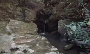 Imagem: Terreno de 7 hectares, com nascente e córrego