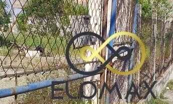 Imagem 13: Terreno à venda, 250 m² por R$ 415.000 - Vila Itapoan - Guarulhos/SP