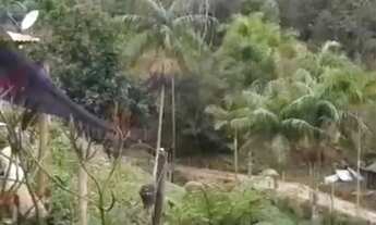 Imagem: Vendo sítio em Alfredo Chaves