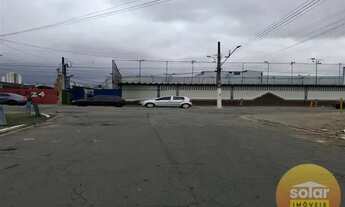 Imagem 6: Terreno Vila Pierina São Paulo/SP