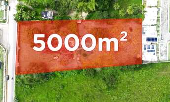 Imagem: OPORTUNIDADE UNICA - TERRENO COMERCIAL 5.000M2