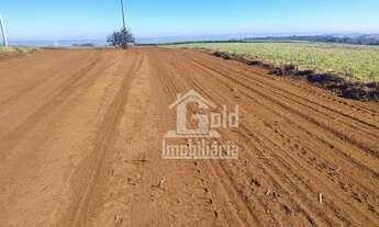 Imagem 2: Fazenda com 126 Alqueires em Cana-de-Acúçar na cidade de São Simão