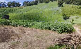 Imagem 3: Venda-se está propriedade de 1 alqueires e 17 LTS e 814,65m²no Município de Cachoeiro de