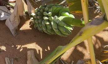 Imagem 5: Vende-se um sítio - ? Aceito carro como parte do pagamento