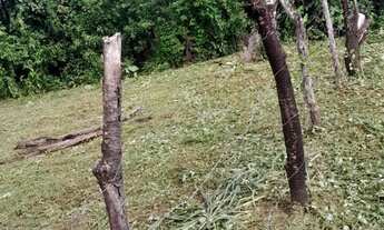 Imagem 5: Terreno limpo e plano