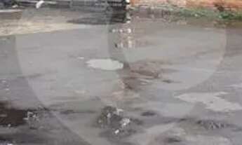 Imagem 3: Terreno à venda ou para locação em Lapa - SP