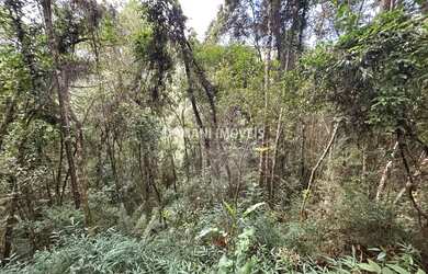 Imagem 4: Ampla Área de Terreno à Venda na Região do Parque da Água Santa - Campos do Jordão/SP