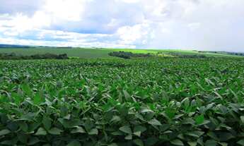 Imagem 3: Fazenda em Abadiânia-Go - 201 Hectares