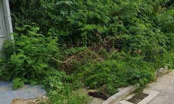 Imagem 3: Lote de 240 m² em Pontal das Garças