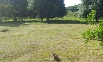 Imagem 5: Vendo sítio em Iuna