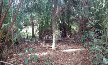 Imagem 5: VENDE-SE CHÁCARA 3 ALQ - LOTEAMENTO ÁGUA FRIA