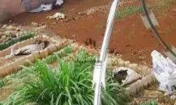 Imagem 3: Casa Residencial a venda/ Antônia Cândida I