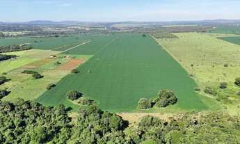 Imagem 3: Chácara de 5 alqueires em Hidrolândia-GO