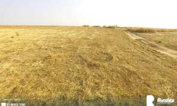 Imagem 2: FAZENDA MONTE BELO LUIZLÂNDIA DO OESTE - MG