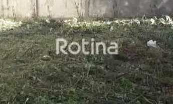 Imagem 2: Terreno à venda, Segismundo Pereira - Uberlândia/MG - Rotina Imobiliária