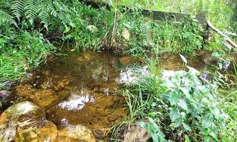 Imagem 7: Vendo excelente sítio em Valença Bahia