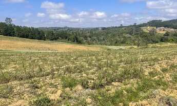 Imagem 2: Construa seus planos onde tudo pode crescer