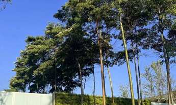 Imagem 2: Terreno à venda em Campinas, Loteamento Residencial Pedra Alta (Sousas), com 1061 m²