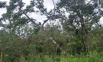 Imagem: Área de 2.000mtrs para chácara em Juquitiba!