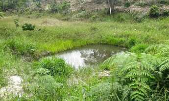 Imagem 3: Sítio à Venda no Vale Verde