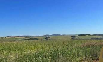 Imagem 7: Fazenda extra a venda no Goiás!!
