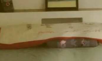 Imagem 3: Chácara escriturada em Nova Petrópolis São Gabriel de Goiás (Planaltina/GO