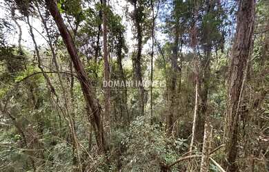 Imagem 6: Ampla Área de Terreno à Venda na Região do Parque da Água Santa - Campos do Jordão/SP