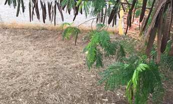 Imagem 3: Terreno Cidade Jardim - Vendo Parcelado