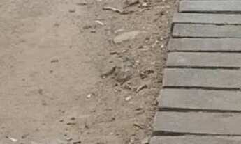 Imagem 3: Chácara dentro da cidade com casa