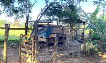 Imagem 6: Fazenda Próxima Rosário Oeste MT