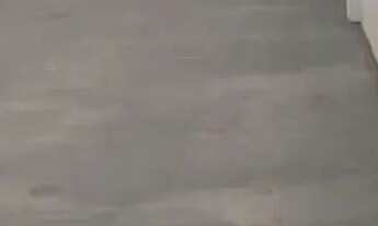 Imagem 5: GALPÃO - SÃO JUDAS - SP