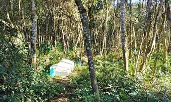 Imagem 7: Chacara Caminho do Vinho, Colônia Murici - São José dos Pinhais - PR