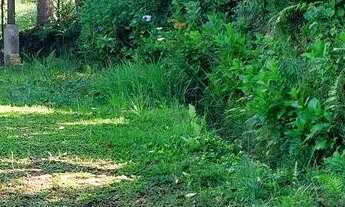 Imagem 2: Terreno em rancho queimado