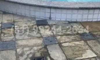 Imagem 7: Maria Yolanda (C/O