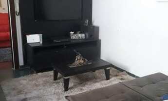 Imagem 7: Vendo Casa 3 quartos no Matriz (Leia o anuncio